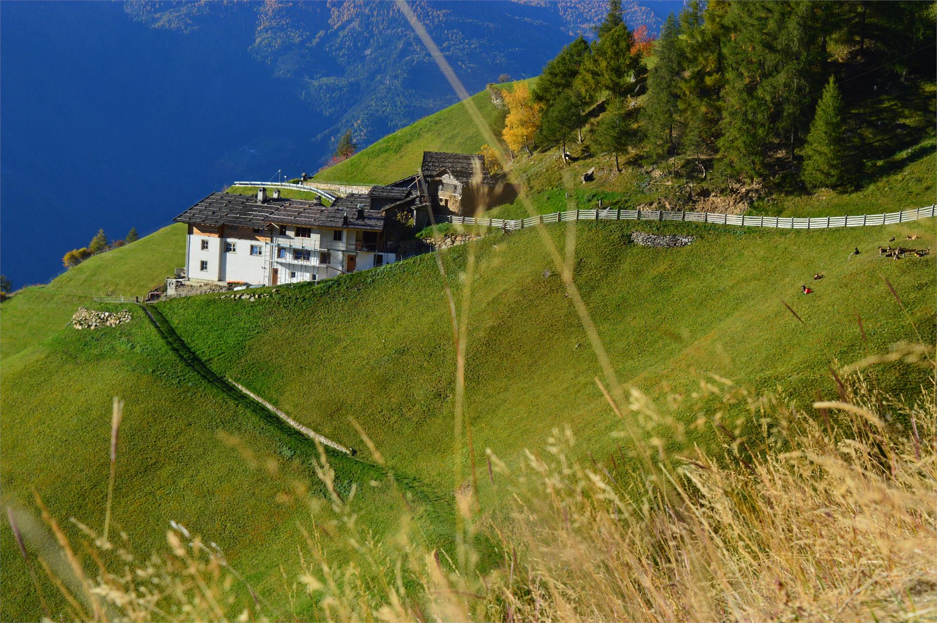 Pirchhof Naturns 5 suedtirol.info