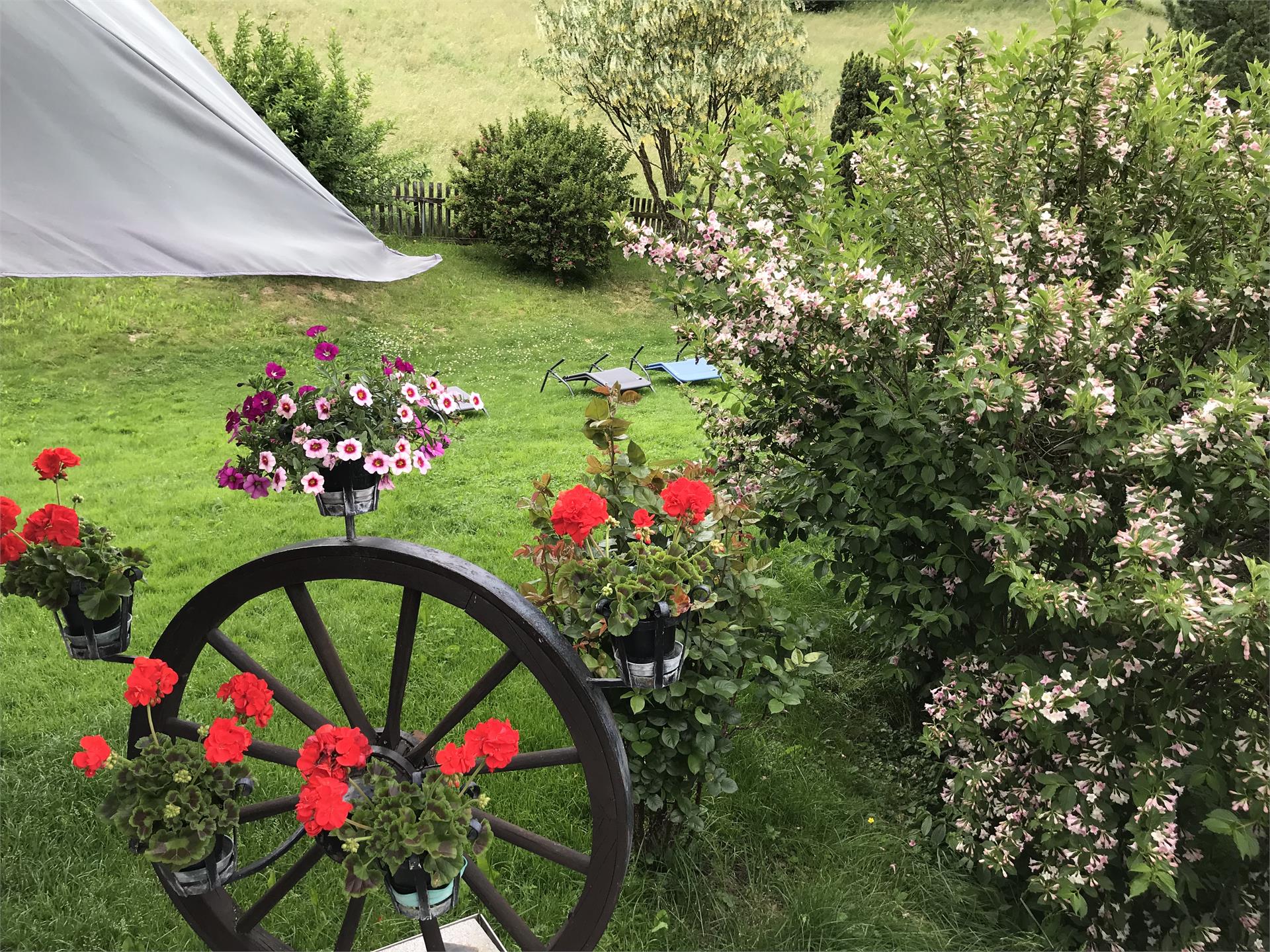 Pensione Alpenblick Vipiteno 24 suedtirol.info