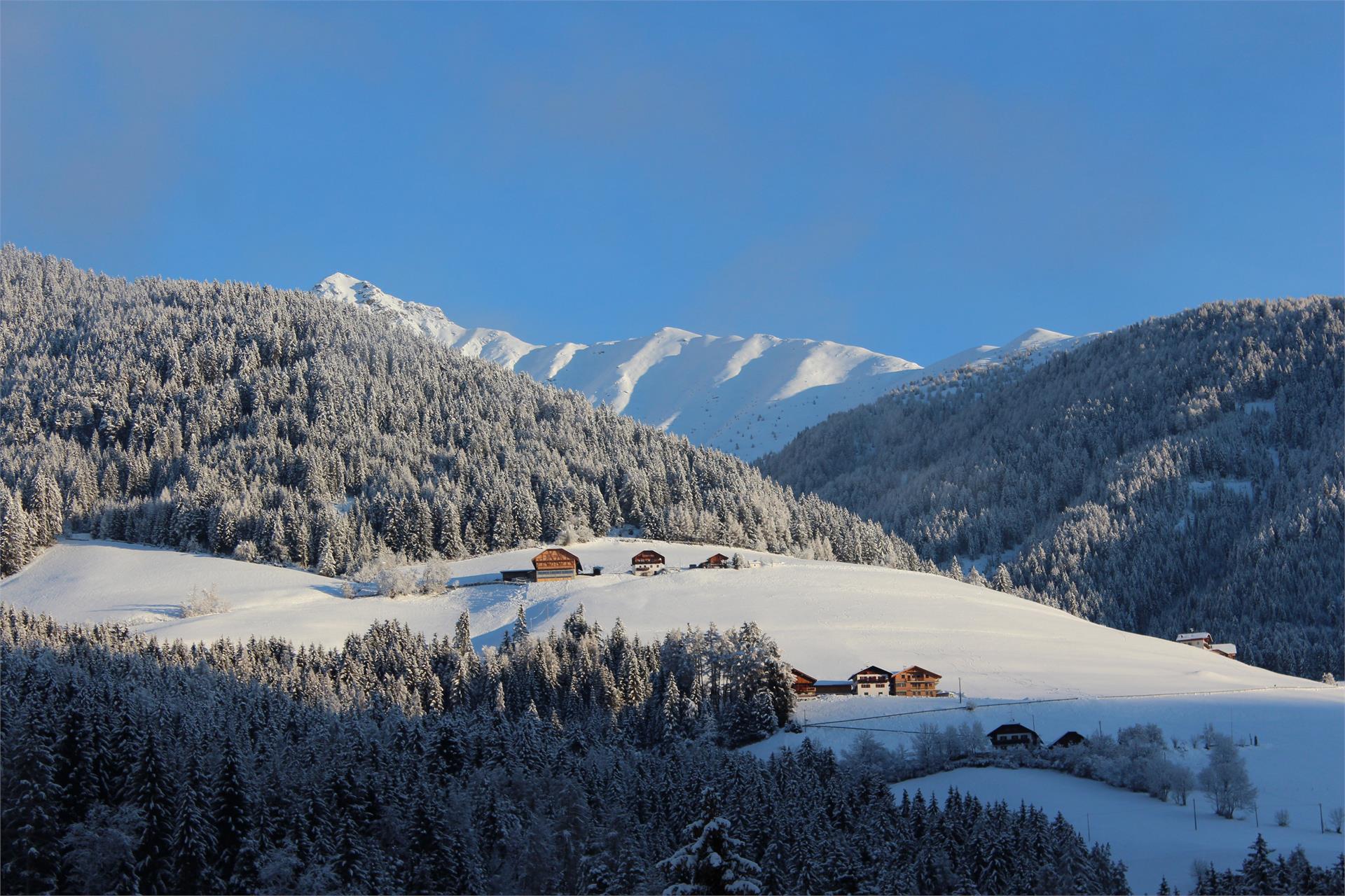 Pension Moserhof  & Dependance Terenten/Terento 4 suedtirol.info