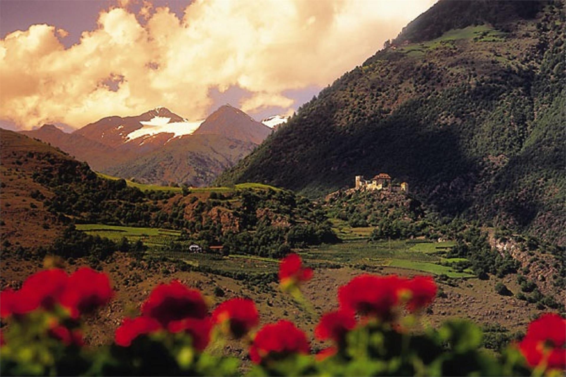 Pensione Gletscherblick Naturno 2 suedtirol.info