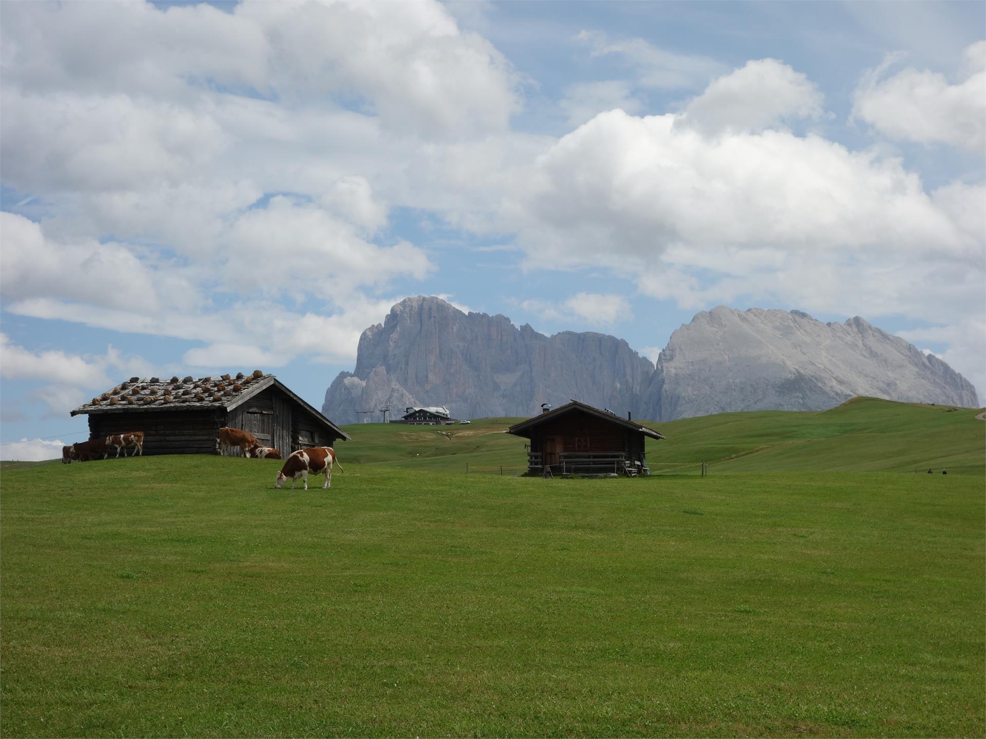 Parleitner Mühlbach 20 suedtirol.info