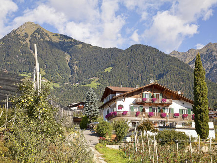 Pension Anita Tirol 5 suedtirol.info