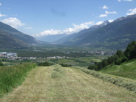 Pinethof Wieser Prato allo Stelvio 1 suedtirol.info