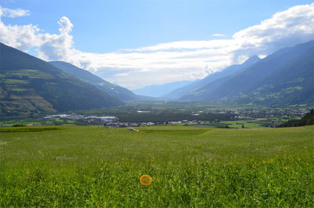 Pinethof Wieser Prad am Stilfser Joch/Prato allo Stelvio 24 suedtirol.info