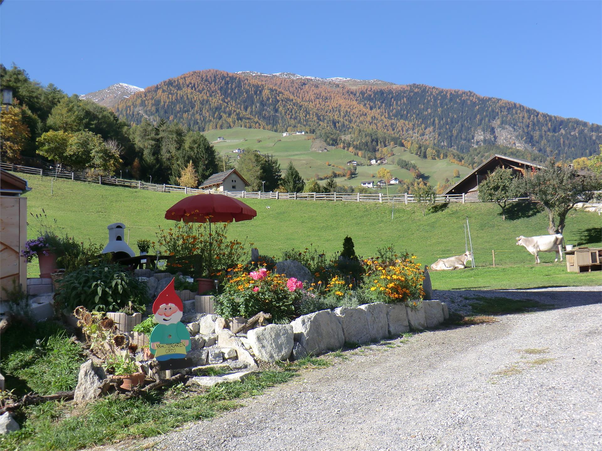 Pinethof Wieser Prato allo Stelvio 20 suedtirol.info