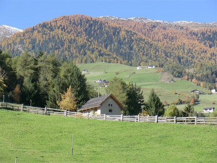 Pinethof Wieser Prad am Stilfser Joch/Prato allo Stelvio 21 suedtirol.info