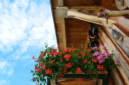 Pinethof Wieser Prad am Stilfser Joch 28 suedtirol.info