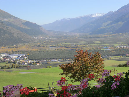 Pinethof Wieser Prato allo Stelvio 8 suedtirol.info