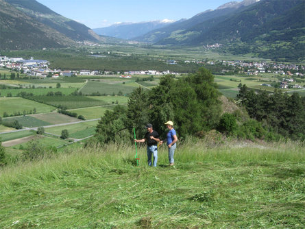 Pinethof Wieser Prad am Stilfser Joch/Prato allo Stelvio 26 suedtirol.info