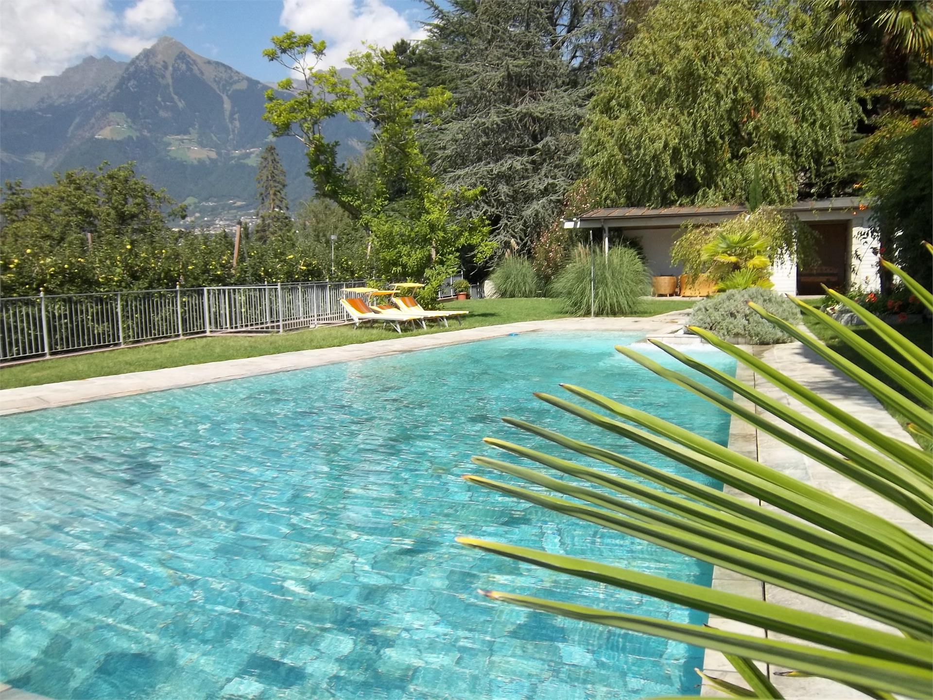 Pension Verdorfer Meran/Merano 3 suedtirol.info