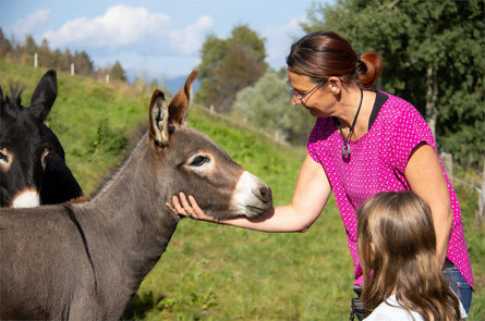 Maso Proderhof Velturno 4 suedtirol.info