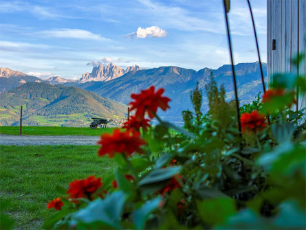 Proderhof Feldthurns/Velturno 5 suedtirol.info