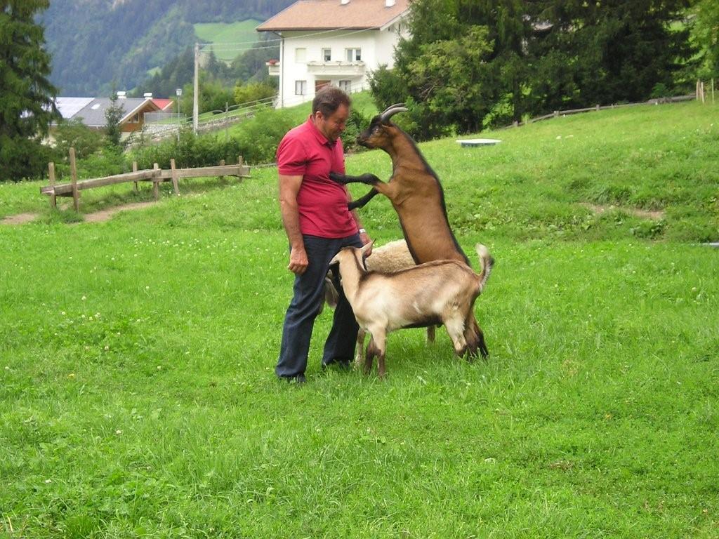 Pension Brunhild St.Leonhard in Passeier 17 suedtirol.info