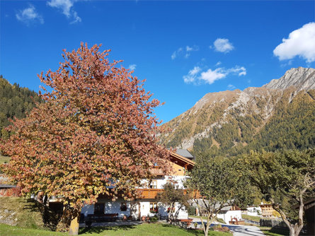 Pension Graushof Pfitsch 4 suedtirol.info