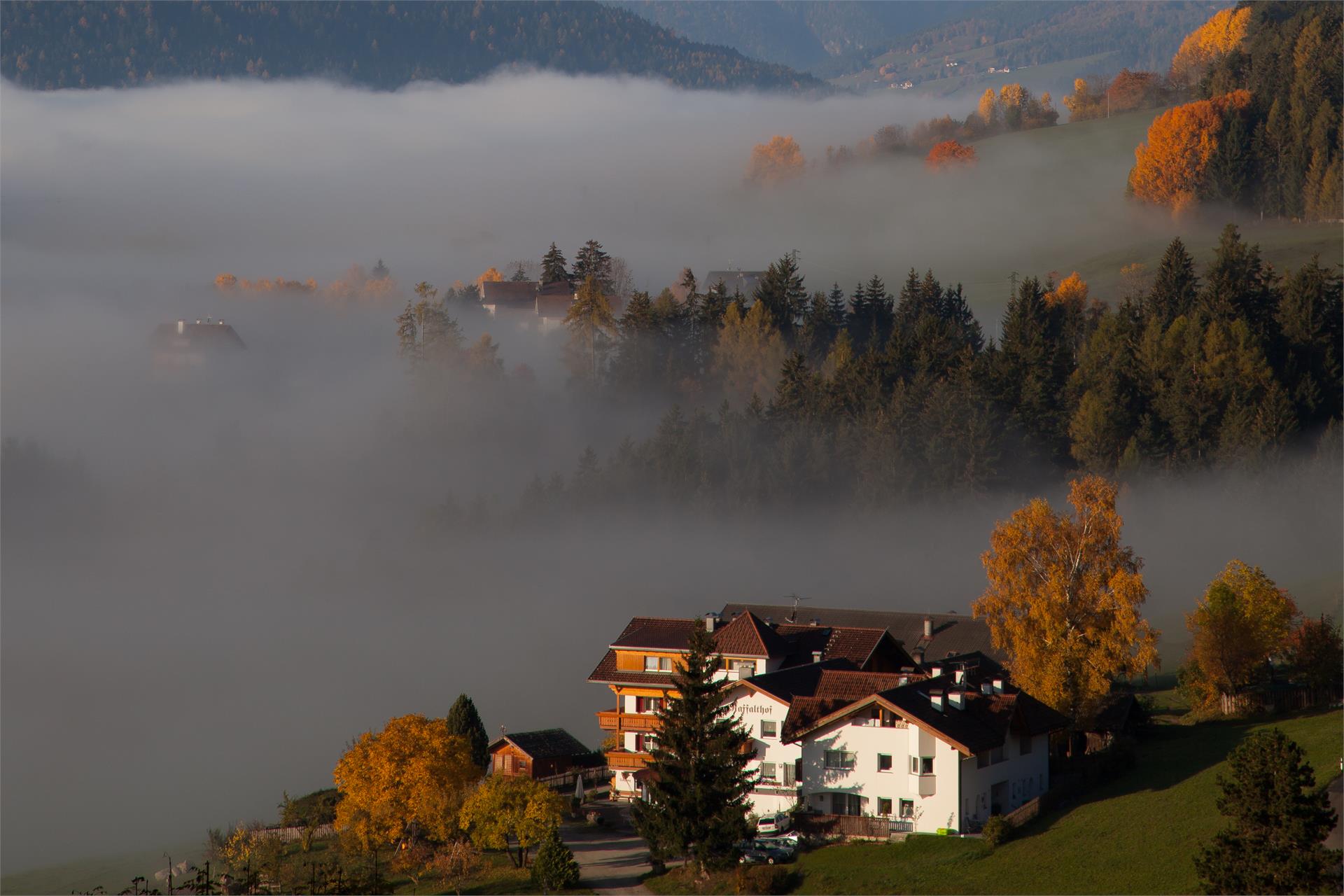 Pension Raffalthof Terenten 8 suedtirol.info