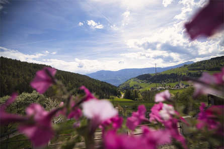 Parliflhof Mölten/Meltina 1 suedtirol.info