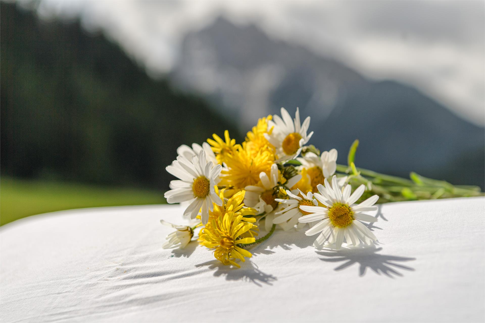 Ringlerhof Braies 3 suedtirol.info