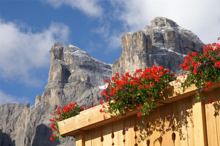 Residence Haflingerhof Corvara 29 suedtirol.info