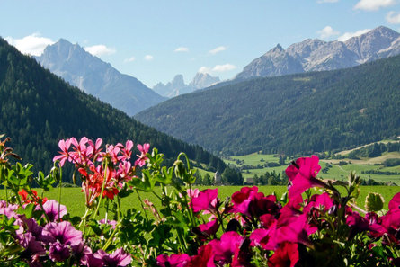 Ronacherhof Welsberg-Taisten 2 suedtirol.info