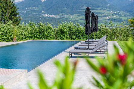 Reinhold Zwerger Tramin an der Weinstraße/Termeno sulla Strada del Vino 2 suedtirol.info