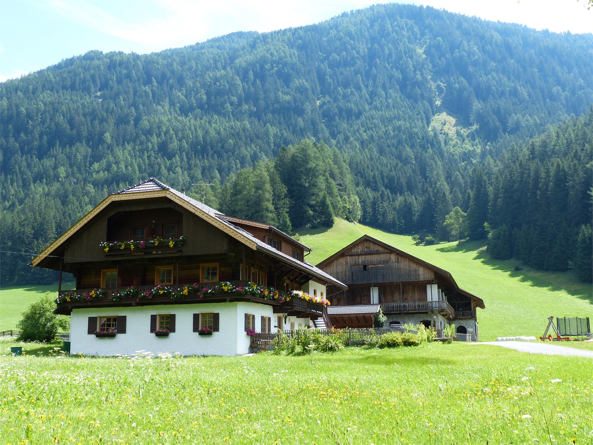 Riederhof Rasen-Antholz 2 suedtirol.info