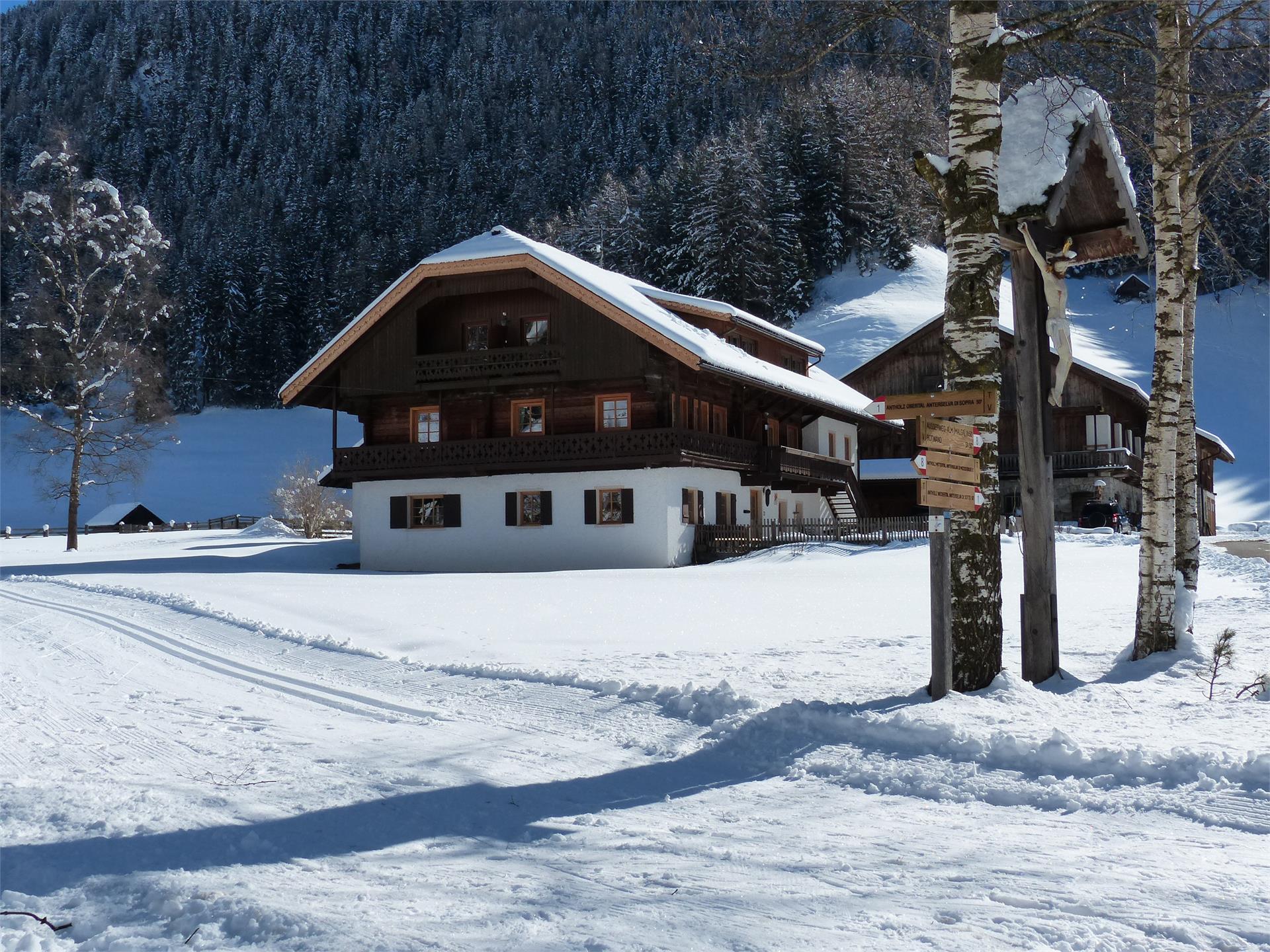 Riederhof Rasen-Antholz 4 suedtirol.info