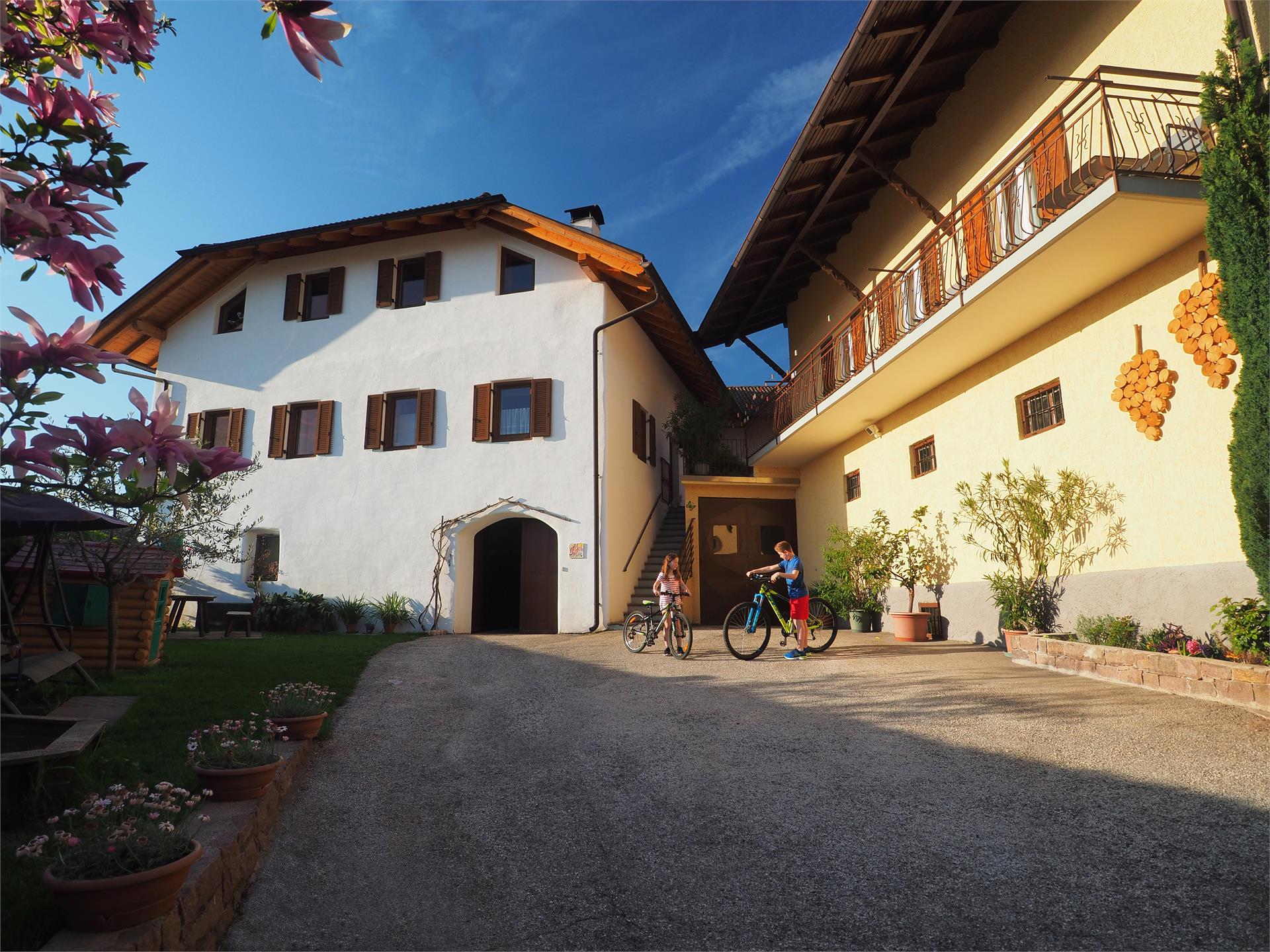 Gottfried Luggin Caldaro sulla Strada del Vino 1 suedtirol.info