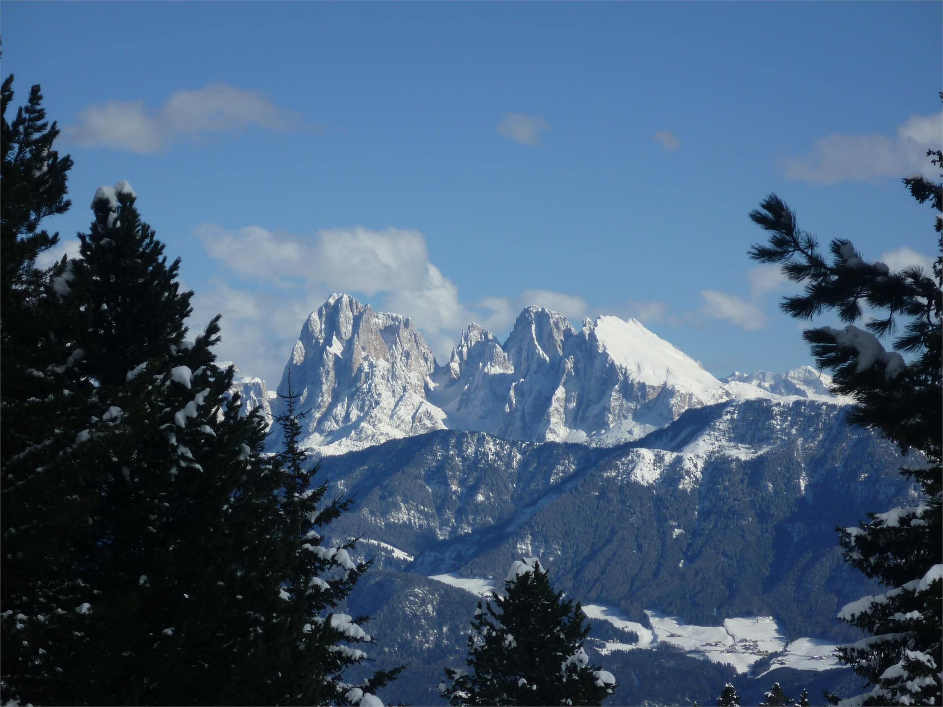 Rasöllerhof Villandro 5 suedtirol.info