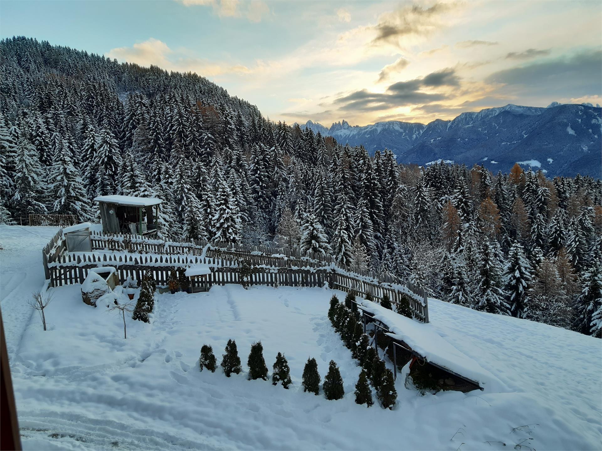 Ratscheinerhof Klausen 9 suedtirol.info