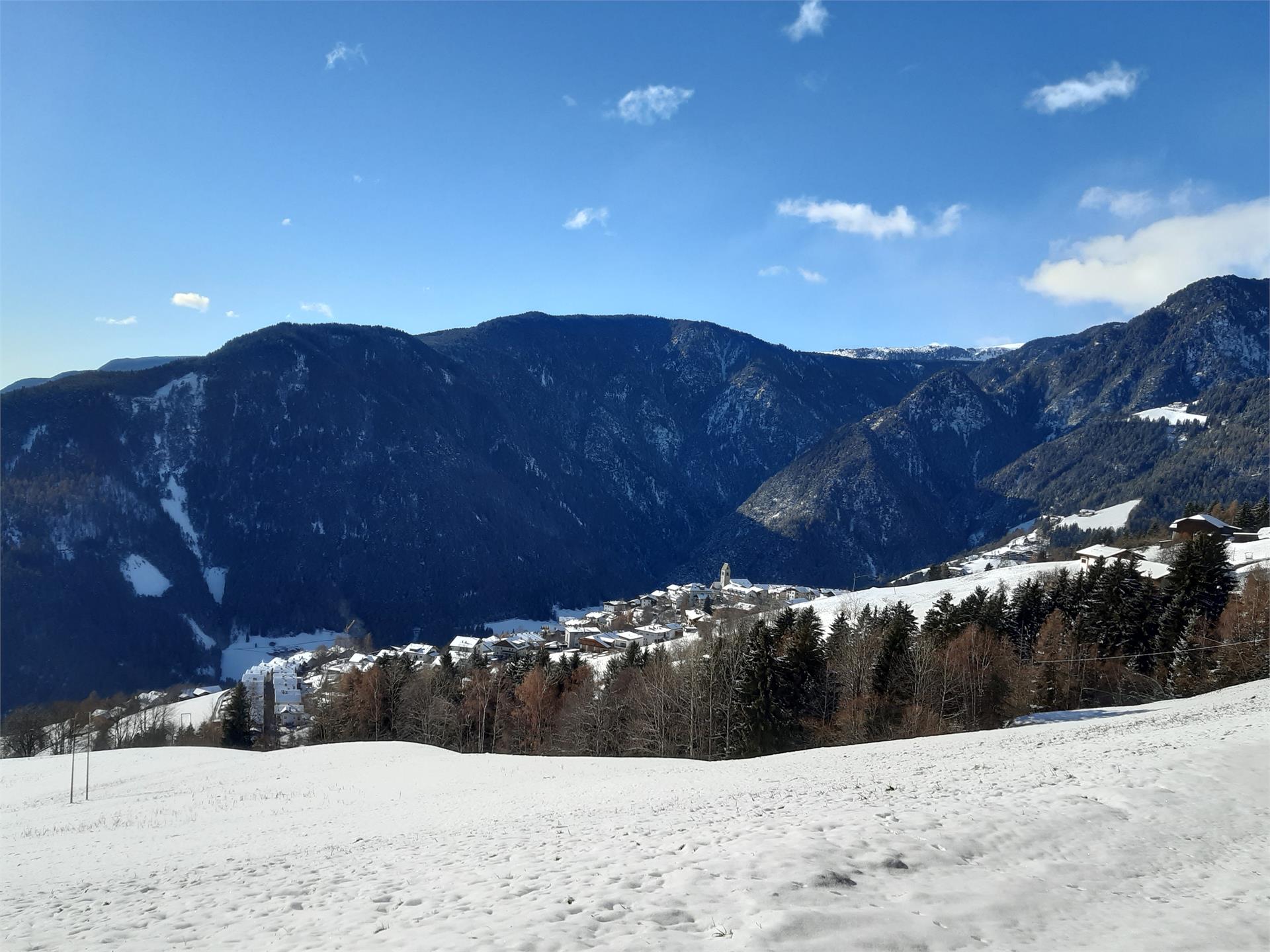 Ratscheinerhof Klausen 8 suedtirol.info