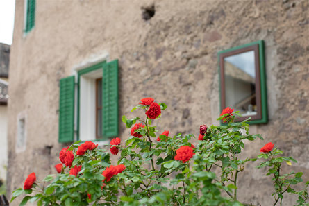 Rose Vintage Residence Caldaro sulla Strada del Vino 14 suedtirol.info