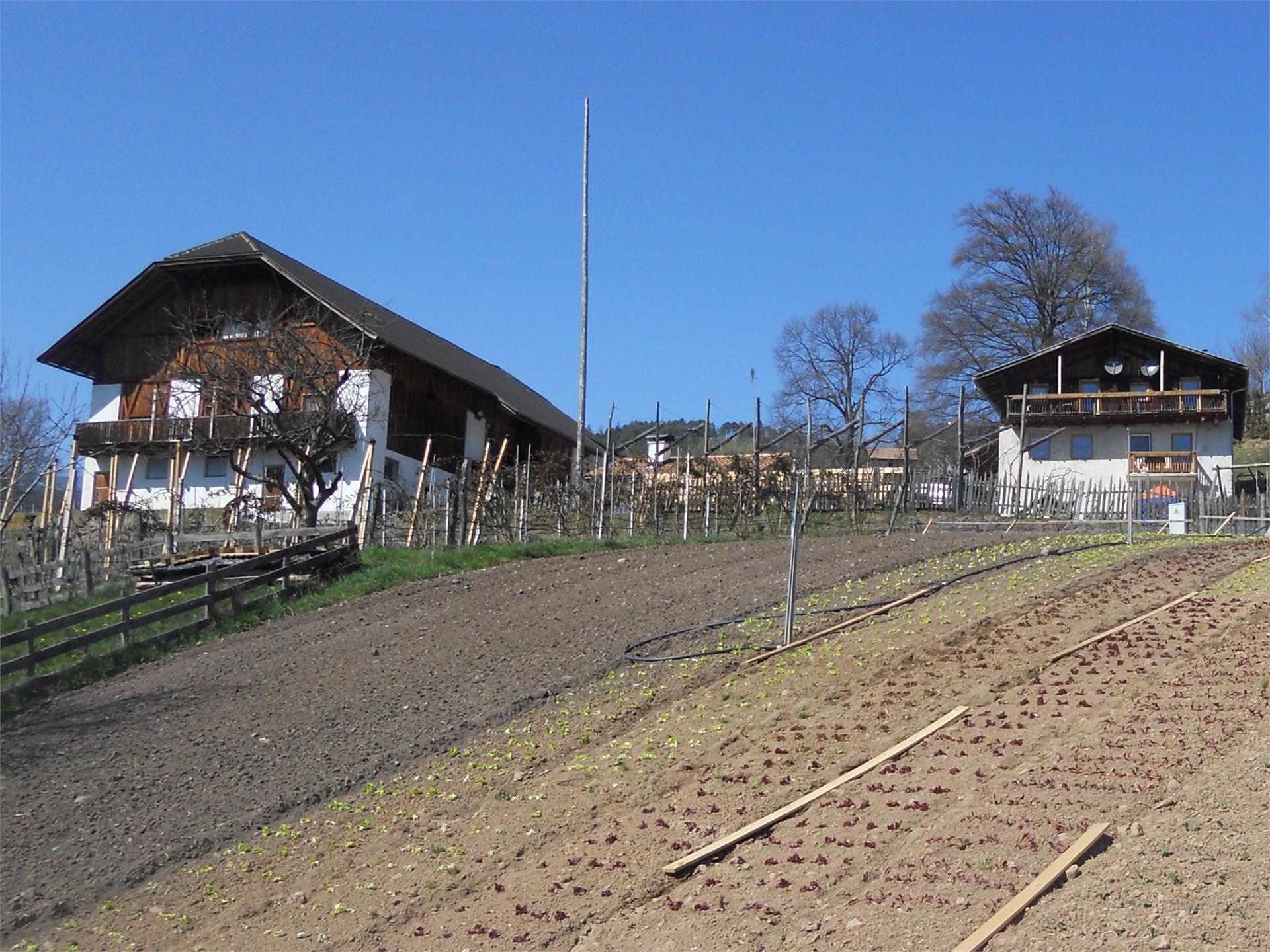 Roanerhof Jenesien 1 suedtirol.info