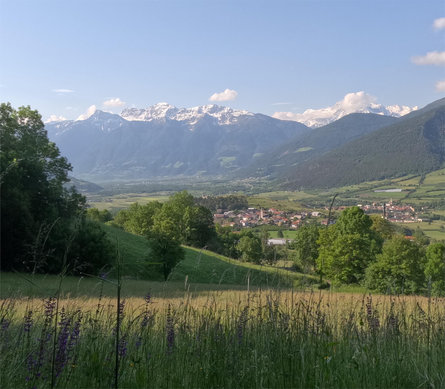 Residence Astoria Prad am Stilfser Joch 1 suedtirol.info