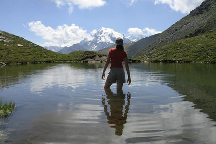 Chalet Eberhöfer Stelvio 29 suedtirol.info