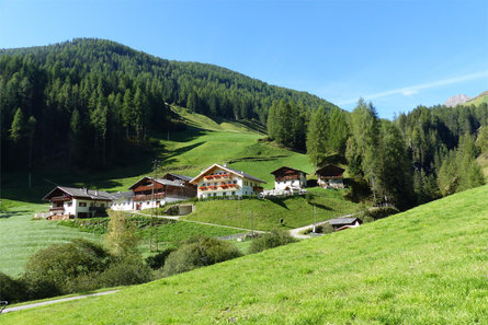 Redenhof Mühlwald 3 suedtirol.info