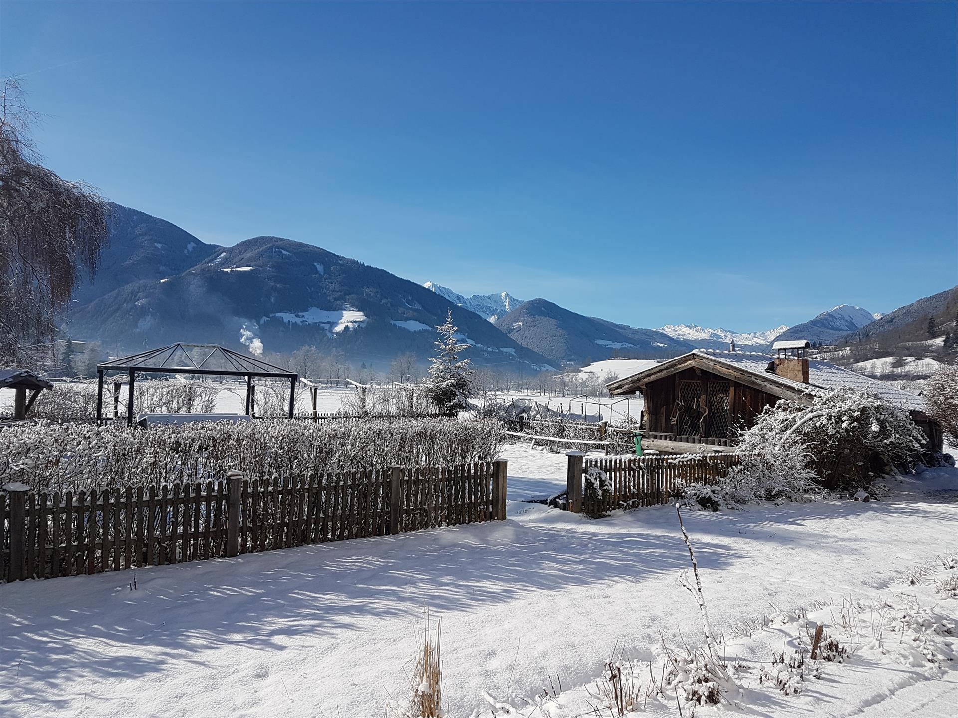 Rieplhof Pfitsch/Val di Vizze 16 suedtirol.info