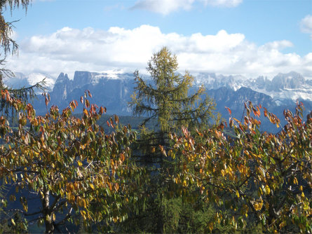 Stücklhof Jenesien/San Genesio Atesino 11 suedtirol.info