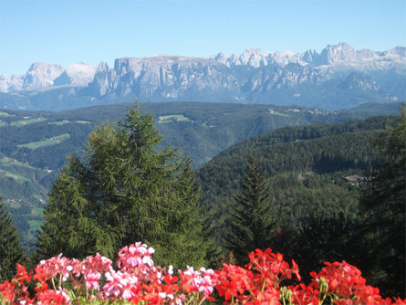 Stücklhof Jenesien 7 suedtirol.info