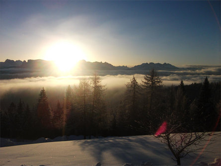 Stücklhof Jenesien/San Genesio Atesino 12 suedtirol.info