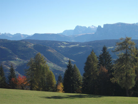 Stücklhof Jenesien 17 suedtirol.info