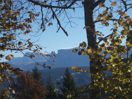 Stücklhof San Genesio Atesino 20 suedtirol.info