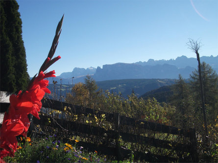 Stücklhof Jenesien/San Genesio Atesino 16 suedtirol.info