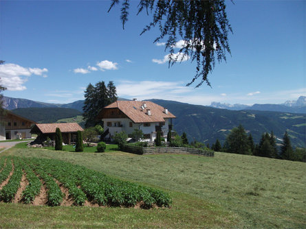 Stücklhof Jenesien/San Genesio Atesino 15 suedtirol.info