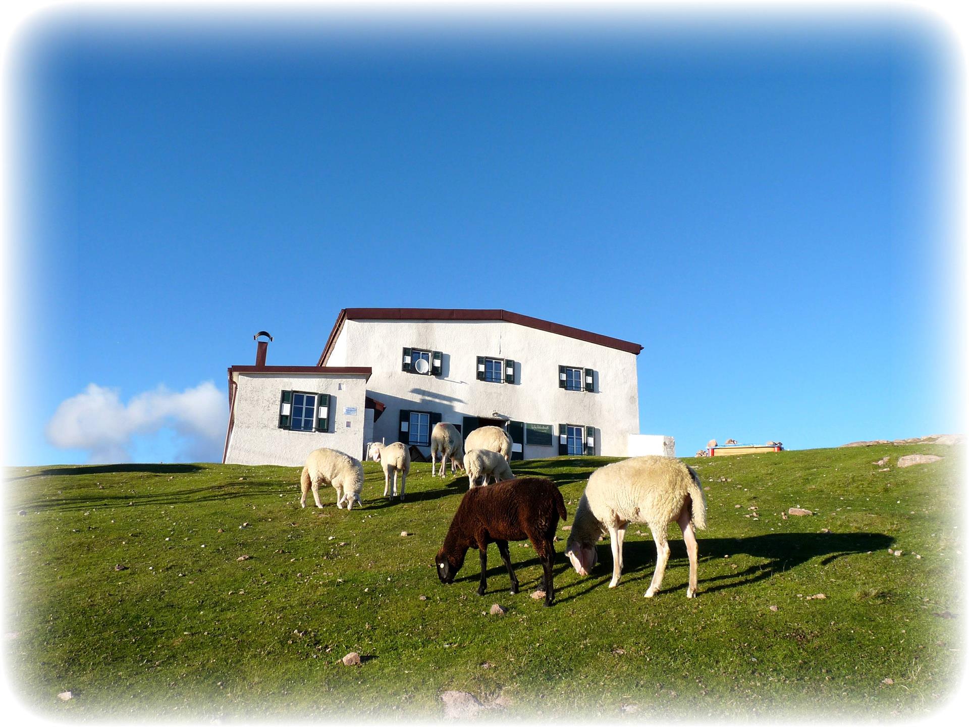 Schutzhaus Rittner Horn Barbian 5 suedtirol.info