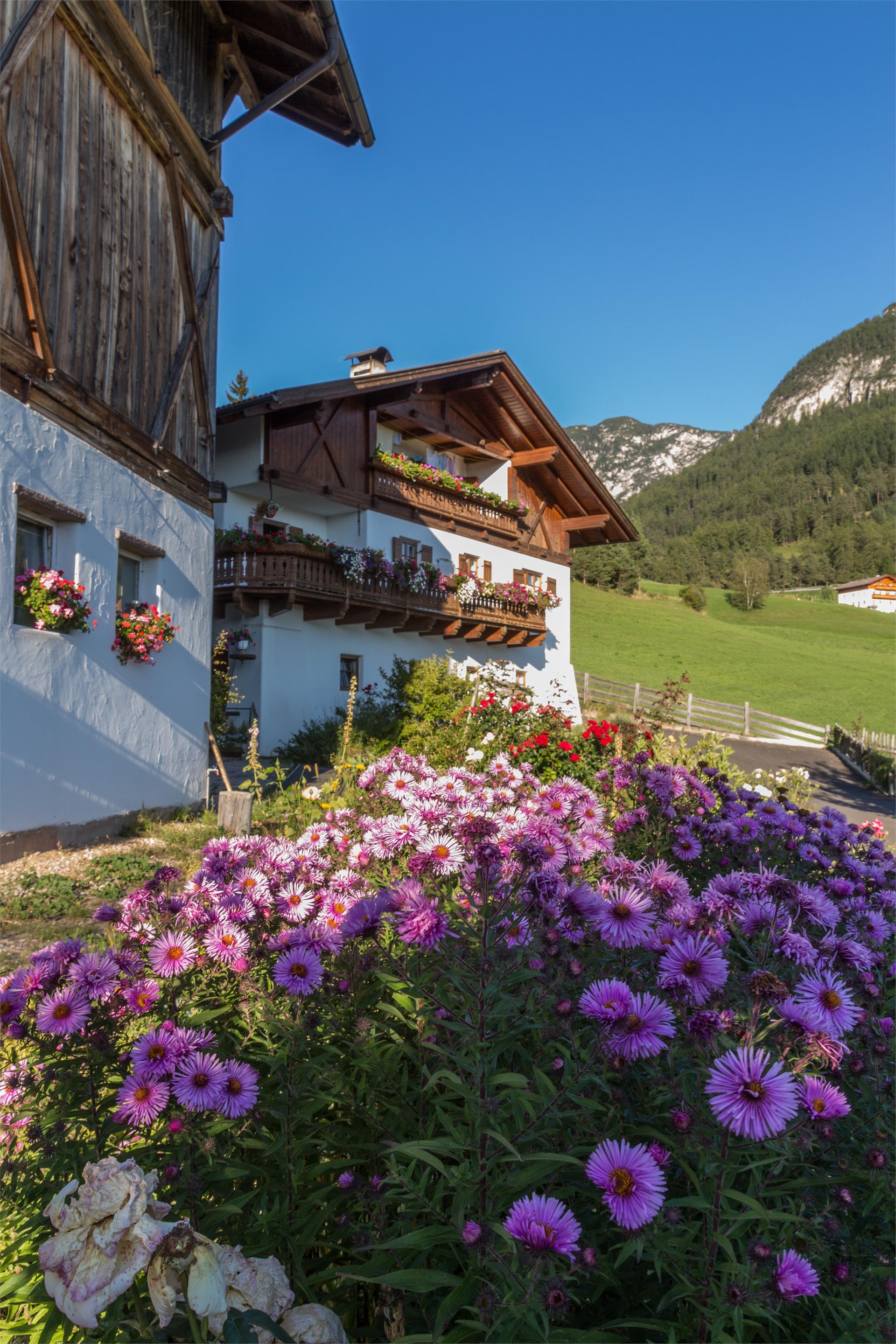 Stampferhof Völs am Schlern 5 suedtirol.info