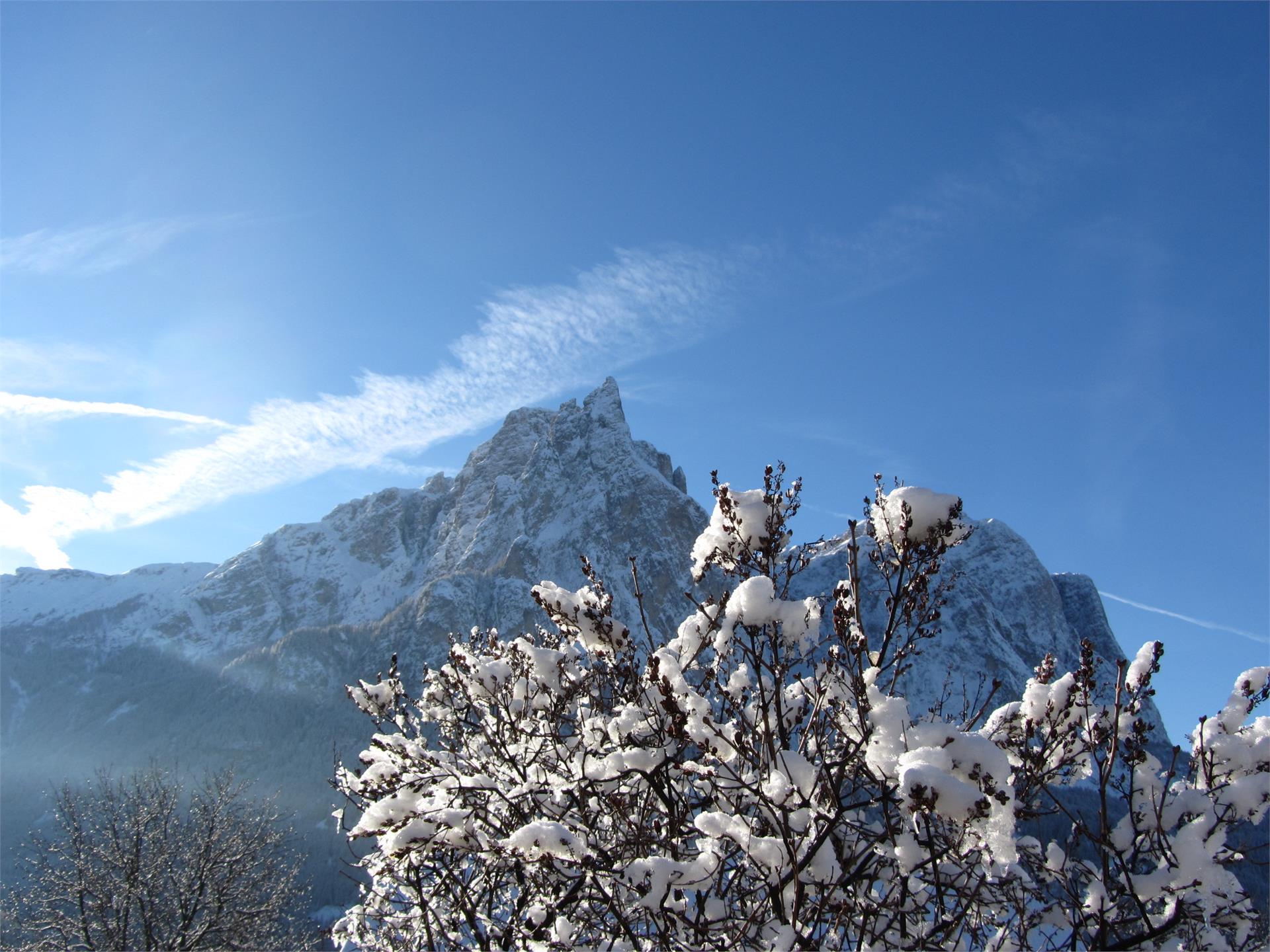 Schildberghof Kastelruth 15 suedtirol.info