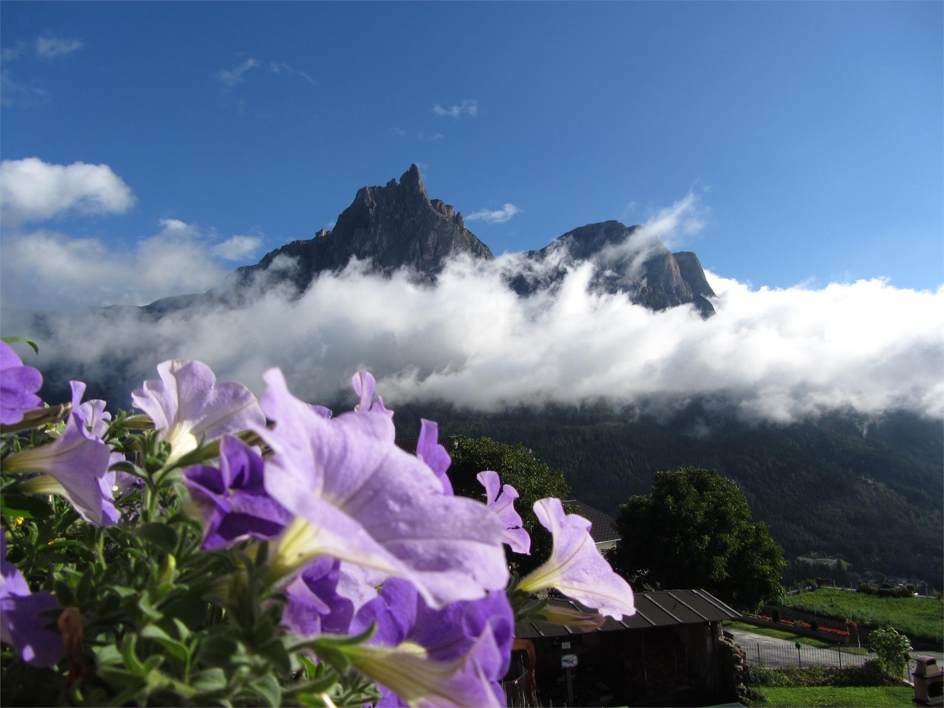 Schildberghof Kastelruth 26 suedtirol.info