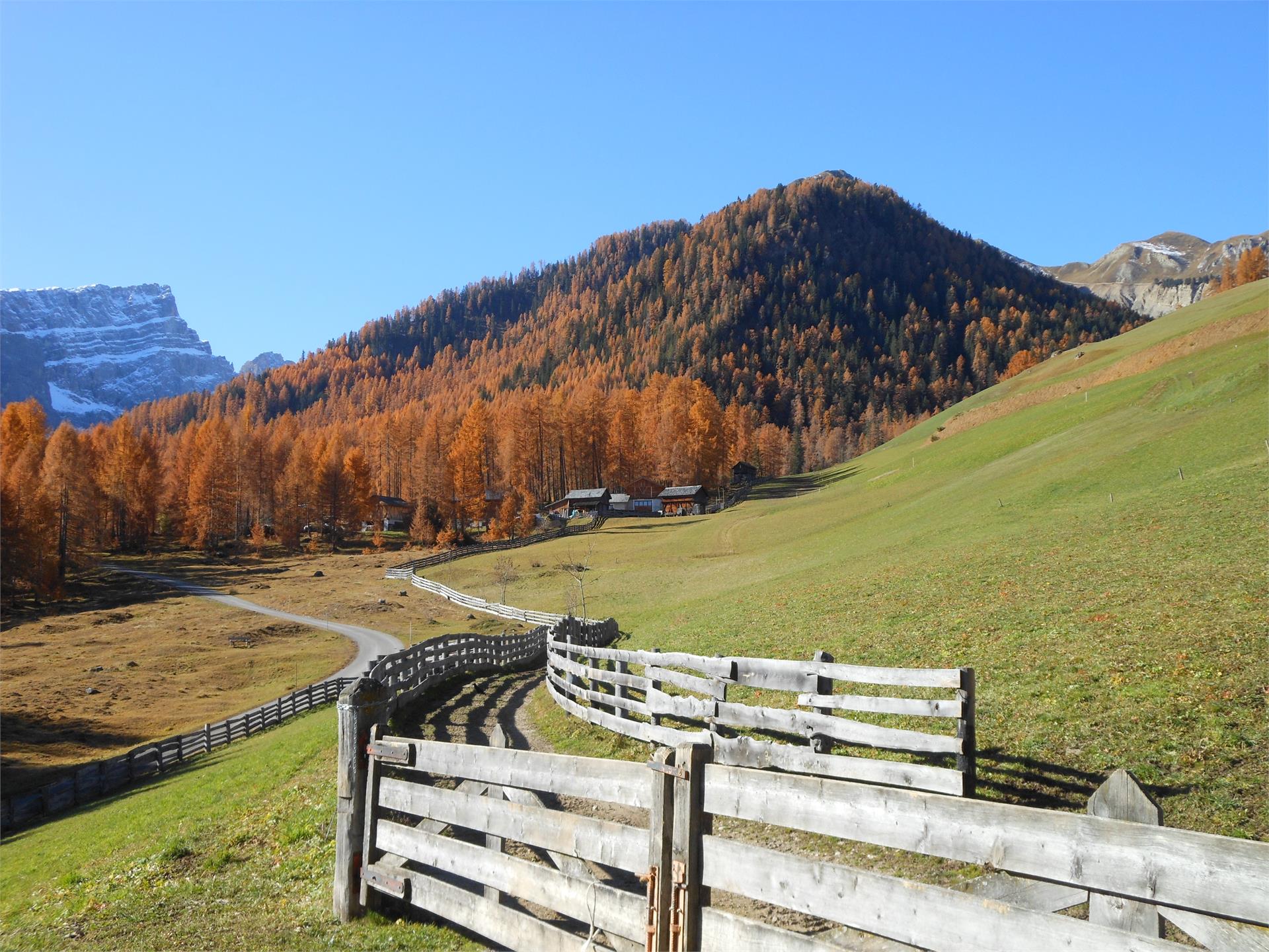 Speckstube Tlisöra San Martin /San Martino 29 suedtirol.info