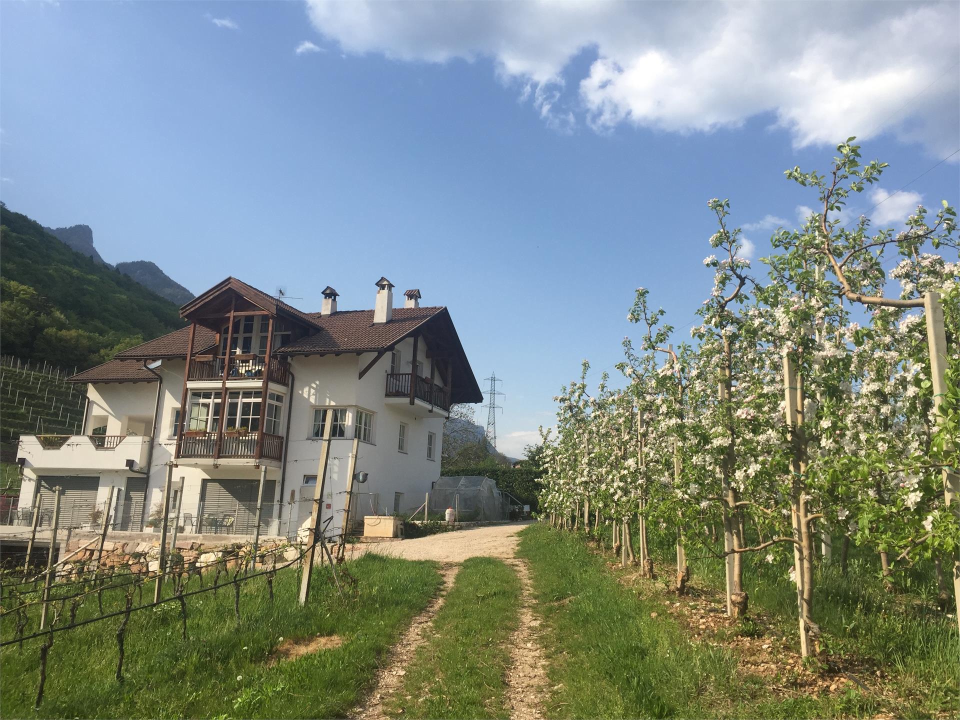 Steinhöfl Kaltern an der Weinstraße/Caldaro sulla Strada del Vino 2 suedtirol.info