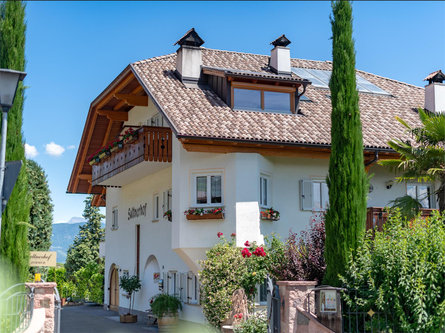 Saltnerhof Caldaro sulla Strada del Vino 1 suedtirol.info